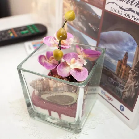 招待所 斯特拉海滨酒店 4*