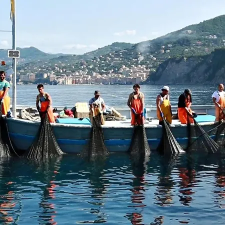 Vendégház Stella Marina 4*